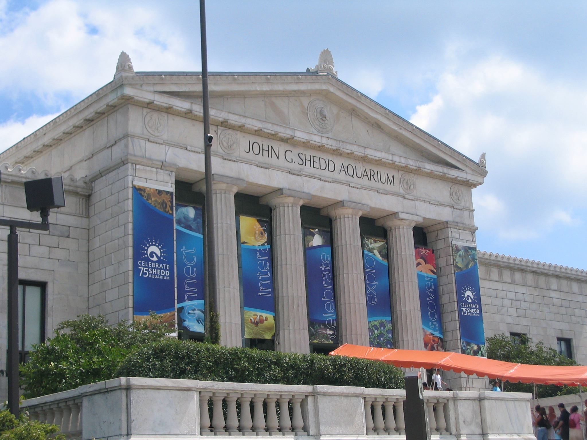 Shedd Aquarium Chicago August 2005