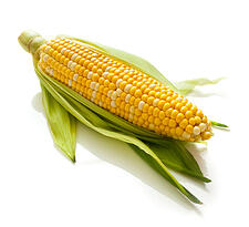 corn on the cob