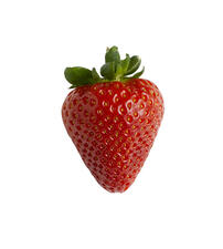 strawberry reference