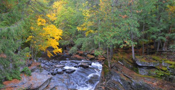 Baraga MI