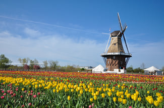 holland