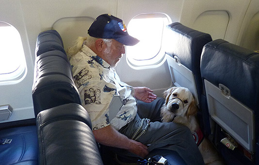 Emotional support dog on a plane