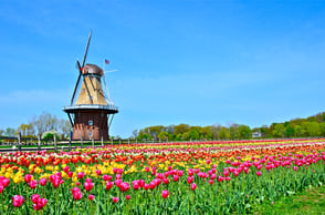 Holland_Windmill