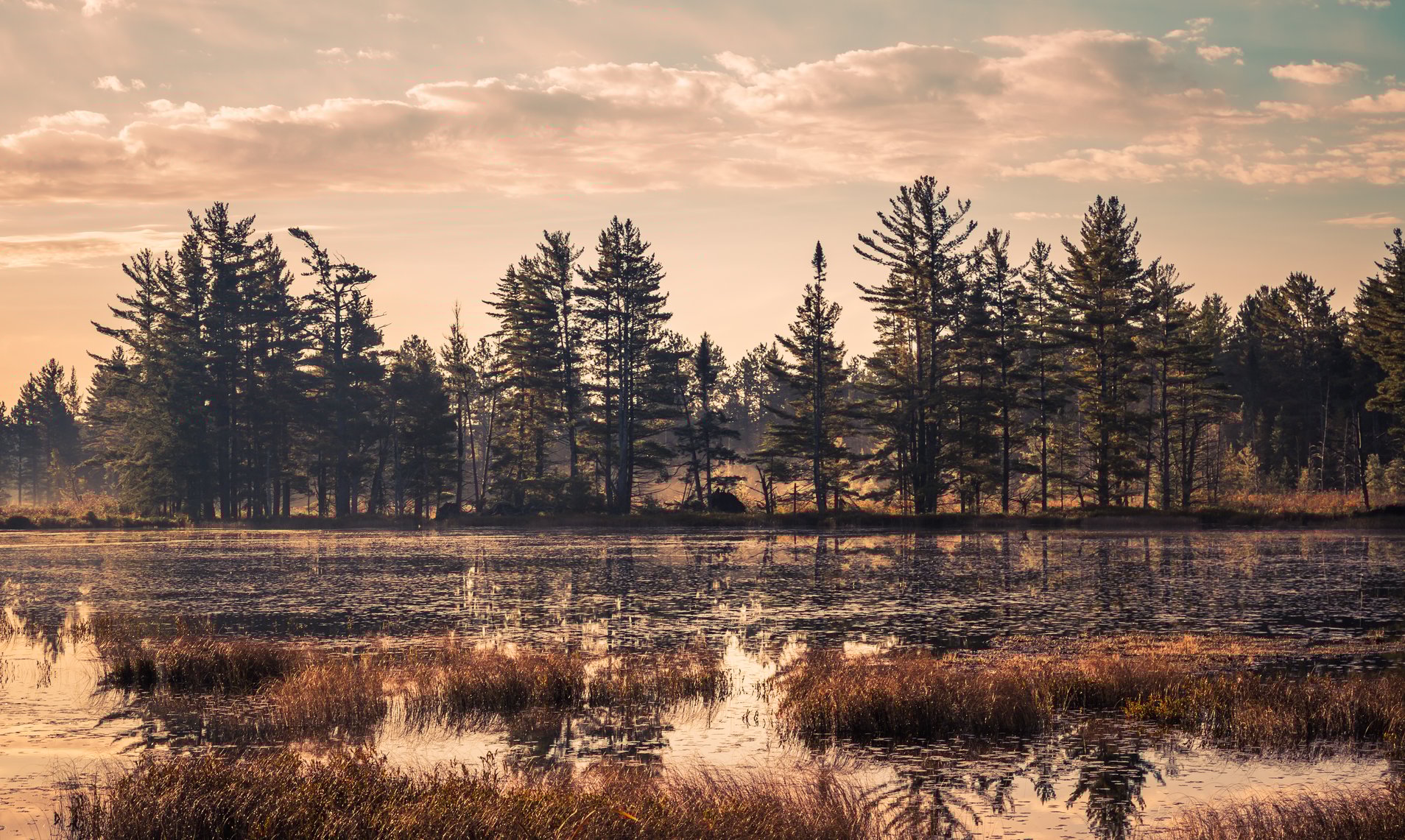 A Hidden Gem in the Upper Peninsula Newberry, Michigan