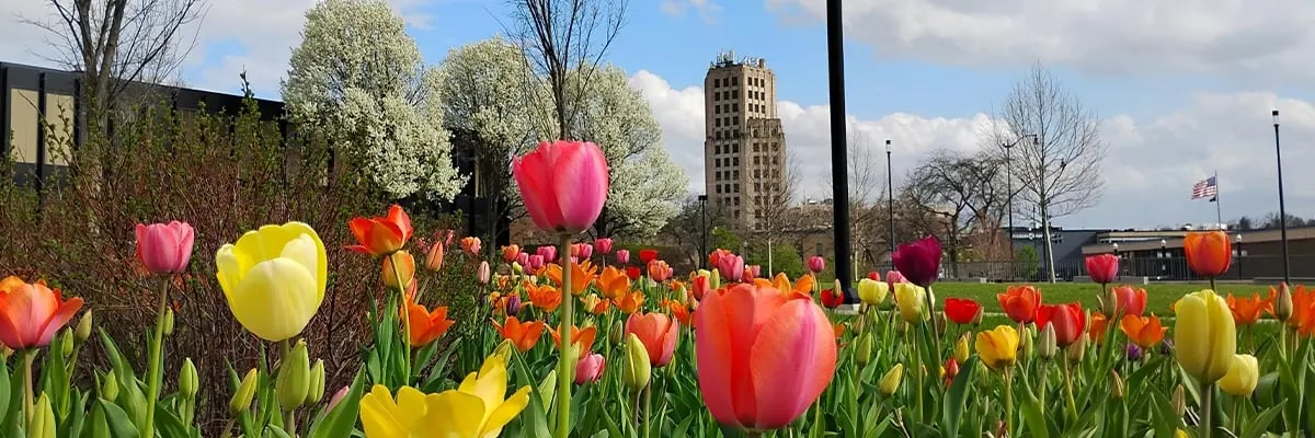 IndianTrails_SummerAnnArbor_Newsletter_04-21-2026