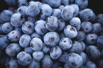blueberries-690072_960_720