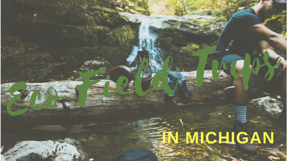 field trips Blog Header